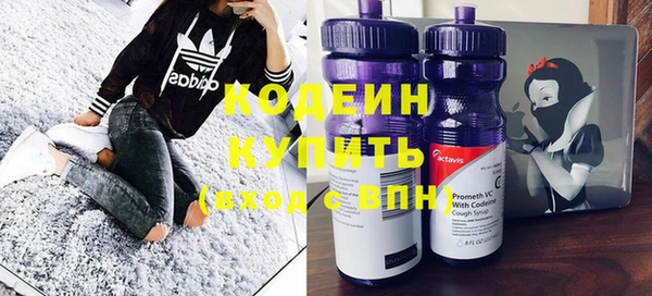 круглые Гусев