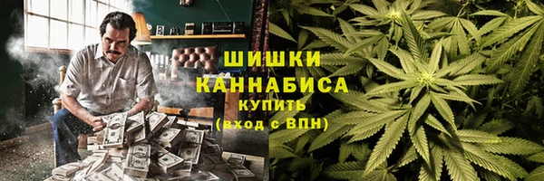 молекула духа Гусиноозёрск