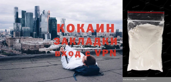 мяу мяу мука Гусь-Хрустальный