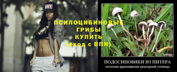 мяу мяу мука Гусь-Хрустальный