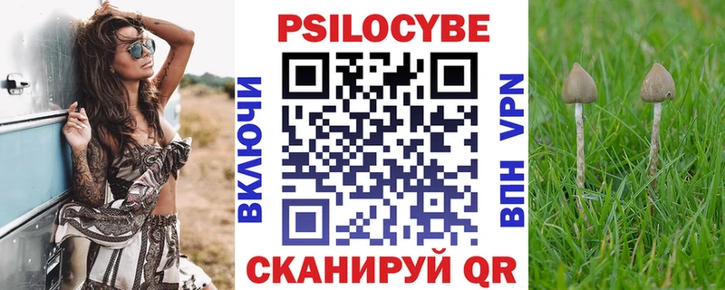 как найти наркотики  Грязовец  Галлюциногенные грибы Psilocybine cubensis 